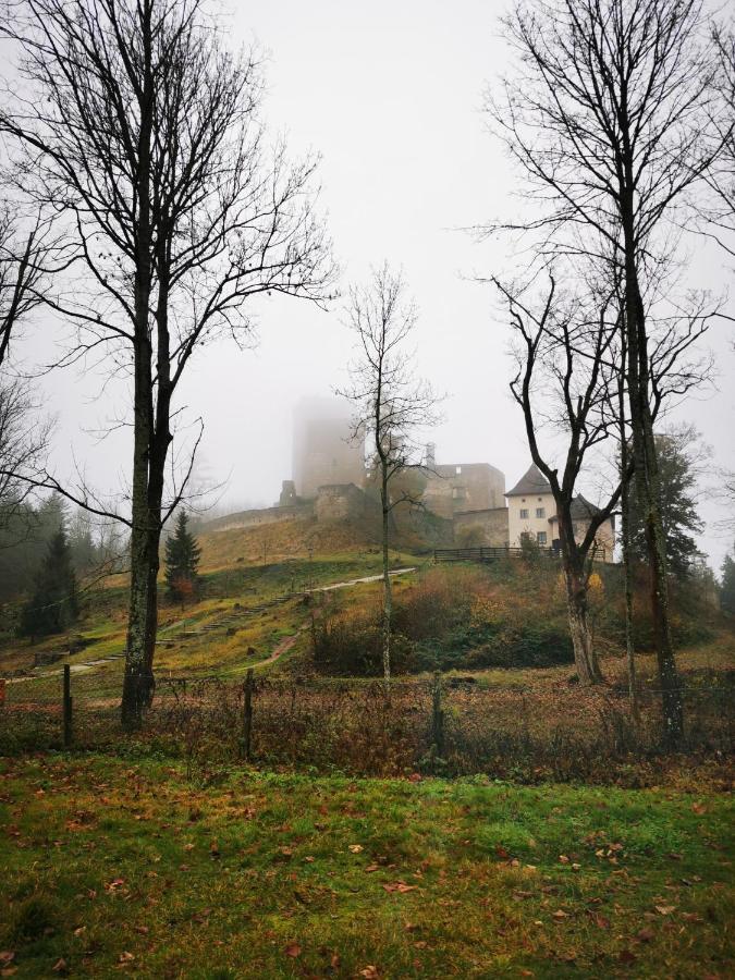 Penzion Landstejnsky Dvur 슬라보니스 외부 사진